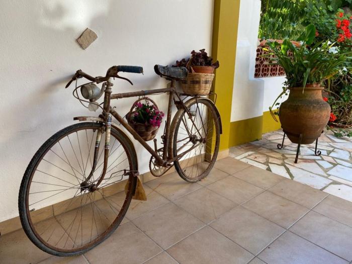 Casinha Da Avo Rosario Apartment Juncal  ภายนอก รูปภาพ